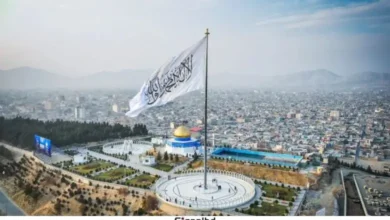 পাকিস্তান হয়ে আফগান আকাশ সীমা লঙ্ঘন করছে মার্কিন ড্রোন, ইমারাতের অভিযোগ