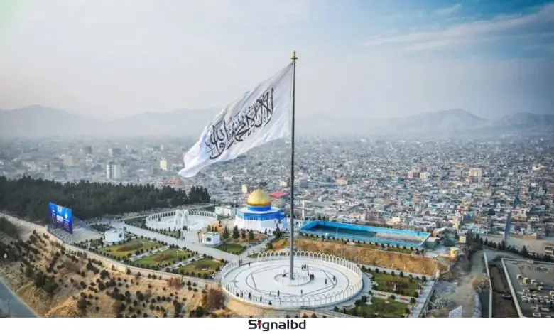 পাকিস্তান হয়ে আফগান আকাশ সীমা লঙ্ঘন করছে মার্কিন ড্রোন, ইমারাতের অভিযোগ