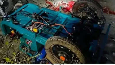 যাত্রীবেশে অটোরিকশা ছিনতাই, চালককে গলা কেটে হত্যা