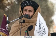 আগ্রাসনের জবাব দিতে আফগানিস্তান প্রস্তুত: মোল্লা বারাদার