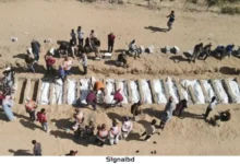 দুই জিম্মির মরদেহর বদলে ৩০ ফিলিস্তিনি শহীদের দেহ ফেরত দিল ইসরাইল