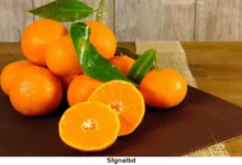 প্রতিদিন একটি কমলা: স্বাস্থ্যের জন্য ৭ উপকারিতা