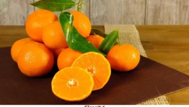 প্রতিদিন একটি কমলা: স্বাস্থ্যের জন্য ৭ উপকারিতা