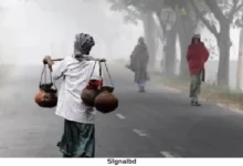 পঞ্চগড়ে শীতের আগমন, তাপমাত্রা নেমে ১৪ ডিগ্রিতে