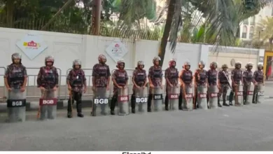 ঢাকা ও আশপাশে ১৪ প্লাটুন বিজিবি মোতায়েন