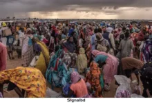 আরএসএফের ড্রোন হামলায় সুদানে নিহত ৪০ জন