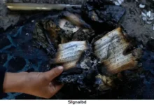 পশ্চিমতীরের ইব্রাহিমী মসজিদ বন্ধ করল ইসরাইল