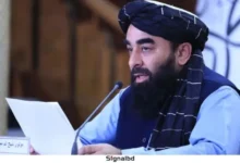 পাকিস্তানি জনগণের সুরক্ষায় পাল্টা হামলা থেকে বিরত আফগান সেনারা: জাবিহুল্লাহ মুজাহিদ