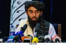 টিটিপি পাকিস্তানের নিজস্ব নীতির ফল: মাওলানা মুজাহিদ