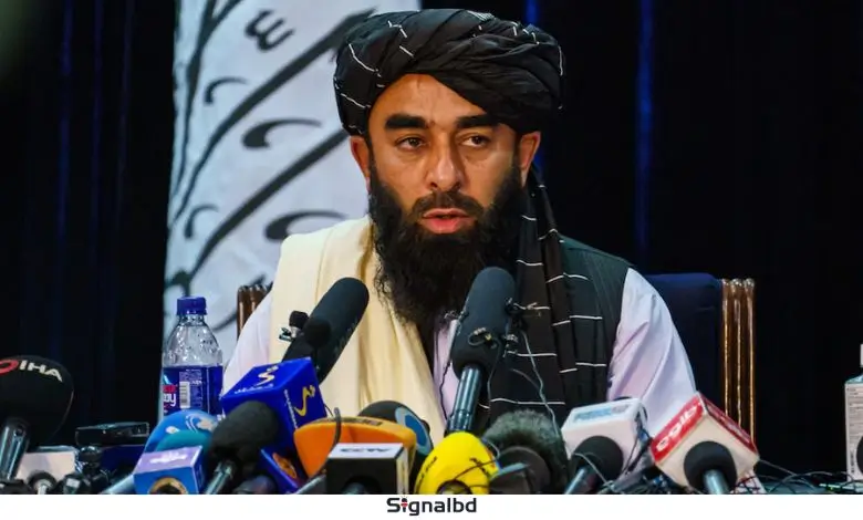 টিটিপি পাকিস্তানের নিজস্ব নীতির ফল: মাওলানা মুজাহিদ