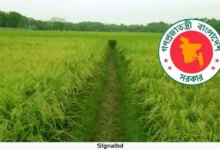 কৃষিজমি সংরক্ষণে অধ্যাদেশ: বাণিজ্যিক ব্যবহার শাস্তিযোগ্য