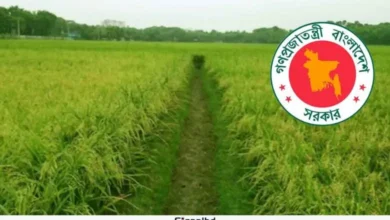 কৃষিজমি সংরক্ষণে অধ্যাদেশ: বাণিজ্যিক ব্যবহার শাস্তিযোগ্য