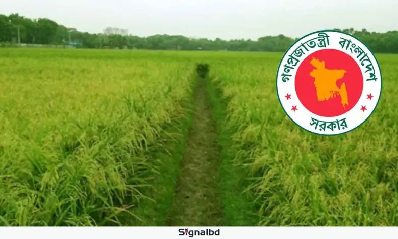 কৃষিজমি সংরক্ষণে অধ্যাদেশ: বাণিজ্যিক ব্যবহার শাস্তিযোগ্য