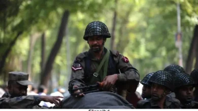 ঢাকা, গোপালগঞ্জ, ফরিদপুর ও মাদারীপুরে বিজিবি মোতায়েন