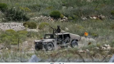 সিরিয়ায় ফের ইসরাইলি হামলা, নারী-শিশুসহ ১৩ জন নিহত