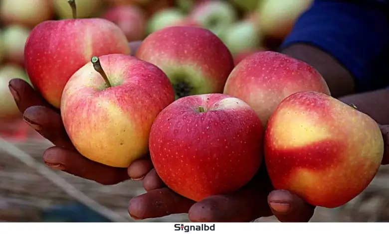 প্রথমবারের মতো রাশিয়ায় আপেল রপ্তানি শুরু করল আফগানিস্তান