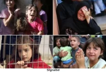 ফিলিস্তিনিরা কেন কান্না করতে পারে না বিশ্বব্যবস্থার নীরবতা