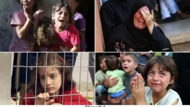 ফিলিস্তিনিরা কেন কান্না করতে পারে না বিশ্বব্যবস্থার নীরবতা