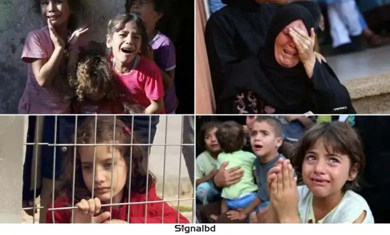 ফিলিস্তিনিরা কেন কান্না করতে পারে না বিশ্বব্যবস্থার নীরবতা