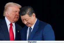 মার্কিন পণ্য আমদানি বাড়াবে চীন: ট্রাম্পের ঘোষণায় অর্থনৈতিক বাজারে সাড়া