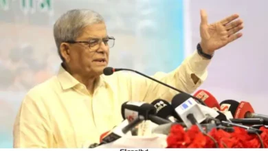 ‘সনদ-গণভোটের কথা যারা বলে, তারা সাধারণ মানুষের ভাষা বোঝে না’