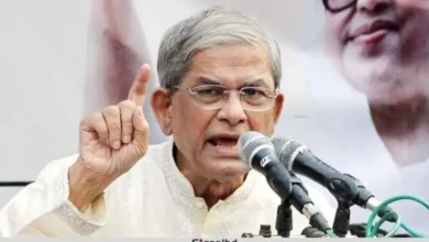 দেশকে অস্থিতিশীলতার দিকে নিচ্ছে জামায়াত; দাবি ফখরুলের