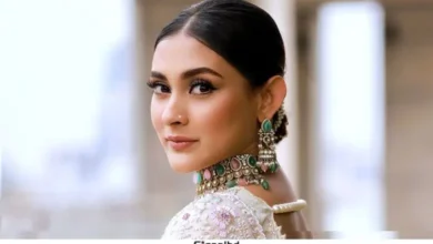 অভিনেত্রী মেহজাবীনের বিরুদ্ধে গ্রেপ্তারি পরোয়ানা জারি