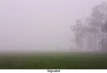 দেশের উত্তর-পশ্চিমাঞ্চল দিয়ে শুরু হচ্ছে শীতের আগমন