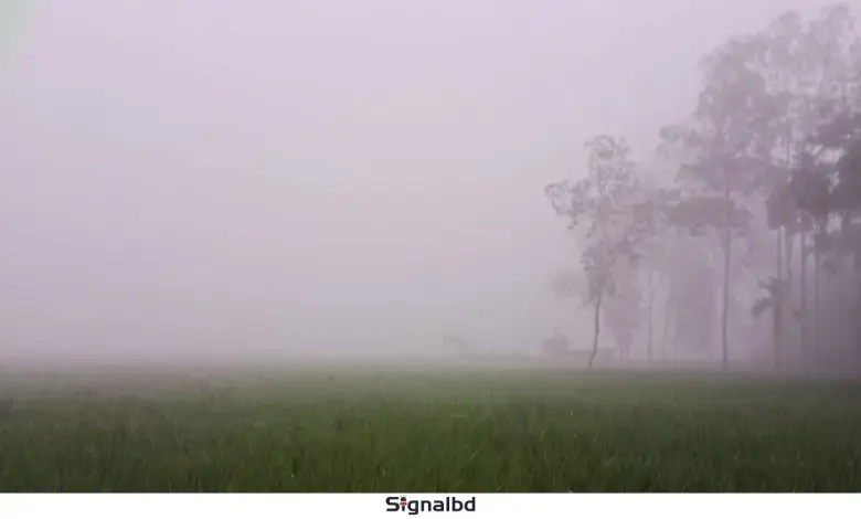 দেশের উত্তর-পশ্চিমাঞ্চল দিয়ে শুরু হচ্ছে শীতের আগমন