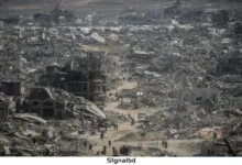 যুদ্ধবিরতির পরও ইসরাইলের হামলা: ২৬০ ফিলিস্তিনি নিহত