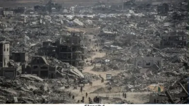 যুদ্ধবিরতির পরও ইসরাইলের হামলা: ২৬০ ফিলিস্তিনি নিহত