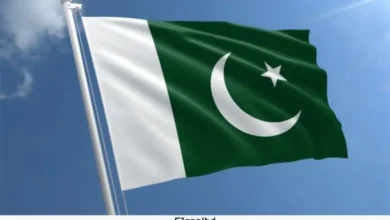 ফ্যাসিস্ট হাসিনার মৃত্যুদণ্ড নিয়ে যা বললো পাকিস্তান