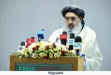 এত আত্মত্যাগে স্বাধীন হওয়া আফগানরা কখনো দাসত্ব গ্রহণ করবে না