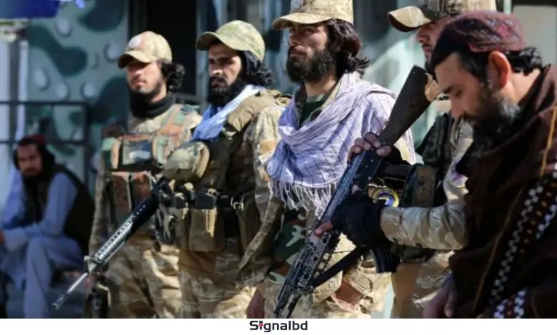 পাকিস্তানে টিটিপির হয়ে যুদ্ধে বাংলাদেশি দুই তরুণ শহিদ