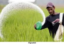 ৯২৫ কোটি টাকায় ১.৭ লাখ টন সার আমদানি করবে সরকার