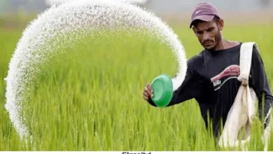 ৯২৫ কোটি টাকায় ১.৭ লাখ টন সার আমদানি করবে সরকার