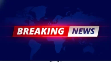 তিন শতাধিক বিচারককে জেলা জজ পদে পদোন্নতির সিদ্ধান্ত