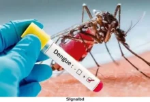 ২৪ ঘণ্টায় ডেঙ্গুতে ৬ জনের মৃত্যু, হাসপাতালে ভর্তি হাজারের বেশি