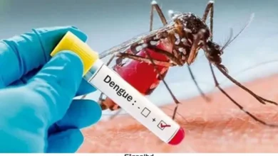 ২৪ ঘণ্টায় ডেঙ্গুতে ৬ জনের মৃত্যু, হাসপাতালে ভর্তি হাজারের বেশি