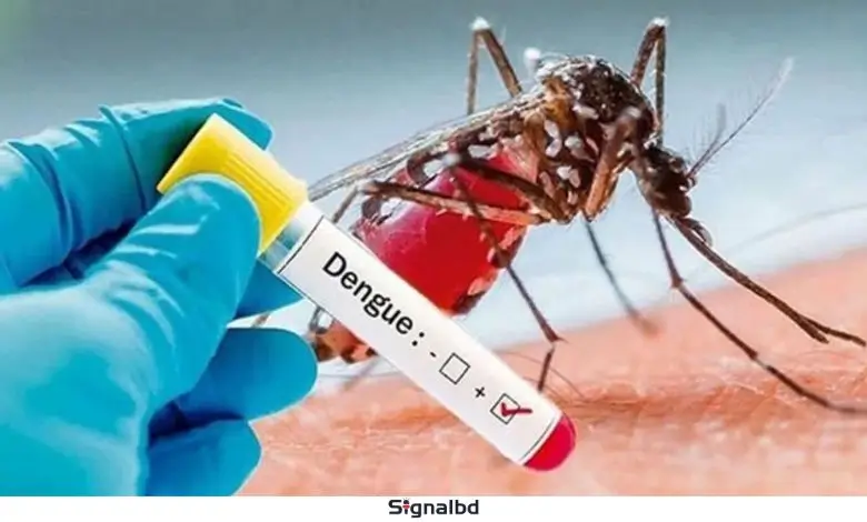 ২৪ ঘণ্টায় ডেঙ্গুতে ৬ জনের মৃত্যু, হাসপাতালে ভর্তি হাজারের বেশি