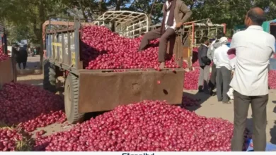 ভারতে পচছে পেঁয়াজ, ২ রুপিতেও মিলছে না ক্রেতা