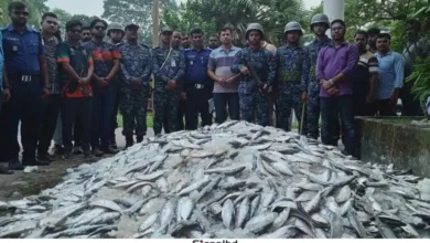 আমতলীতে ৯ লাখ টাকার জাটকা জব্দ, এতিমখানা ও দুস্থদের মাঝে বিতরণ