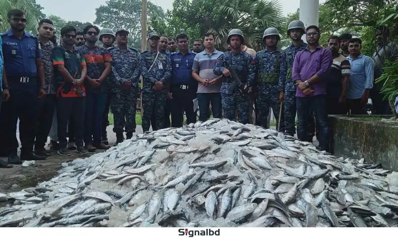 আমতলীতে ৯ লাখ টাকার জাটকা জব্দ, এতিমখানা ও দুস্থদের মাঝে বিতরণ