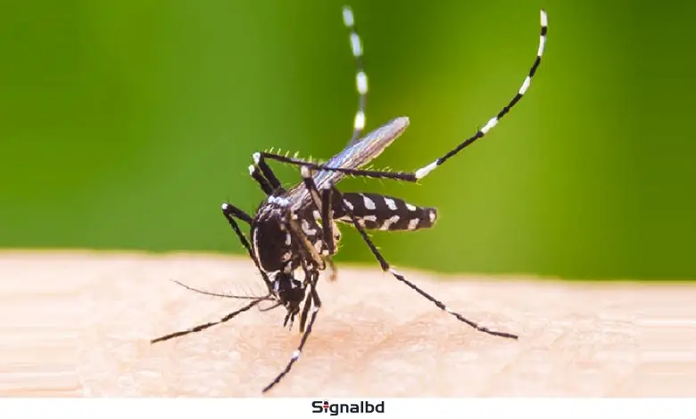 ডেঙ্গু পরিস্থিতি জটিল: ৫ মৃত্যু, নতুন ভর্তি ১১৩৯ জন