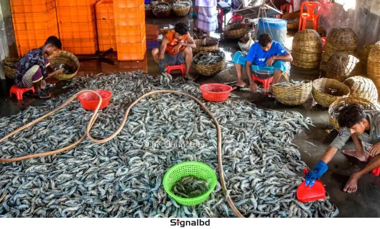কেশবপুরে মাছ উৎপাদনে রেকর্ড | ৩০ হাজার টনে আয় ৫৭৫ কোটি টাকা