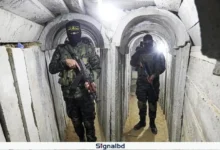 গাজায় টানেল থেকে নিরাপদে বের হওয়ার সুযোগ চায় হামাস যোদ্ধারা