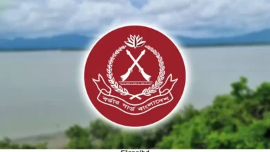 অক্টোবরে বিজিবির অভিযানে প্রায় ২০৭ কোটি টাকার মালামাল উদ্ধার