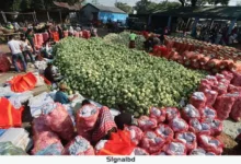 নওহাটায় সবজির জমজমাট হাট: কৃষকের মুখে হাসি