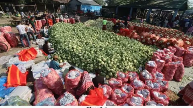 নওহাটায় সবজির জমজমাট হাট: কৃষকের মুখে হাসি