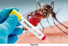 ডেঙ্গু সংক্রমণ: ৫ মৃত্যু, ৮১ হাজার আক্রান্ত, উদ্বেগ বৃদ্ধি